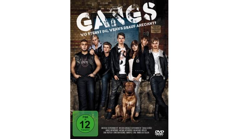 Gangs: Gangs (Walt Disney), Bild 1 DVD Film Gangs (Walt Disney) im Test, Bild 1