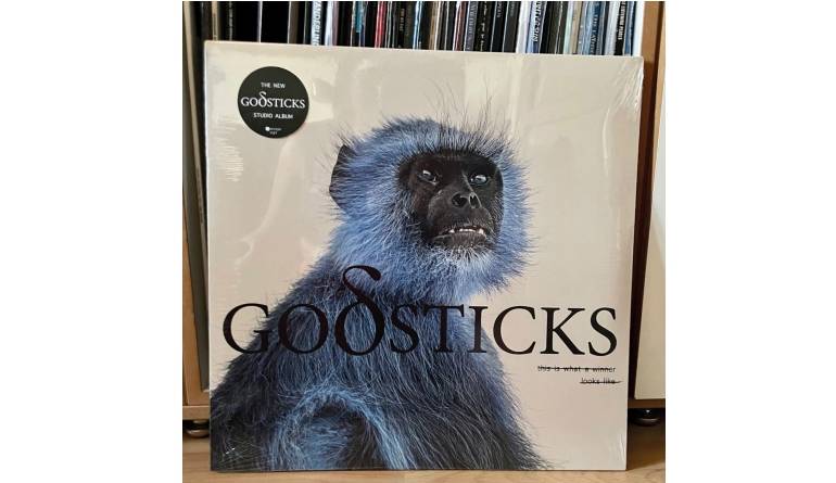 Godsticks – This Is What a Winner Looks Like: Godsticks – This Is What a Winner Looks Like (Kscope), Bild 1 Schallplatte Godsticks – This Is What a Winner Looks Like (Kscope) im Test, Bild 1