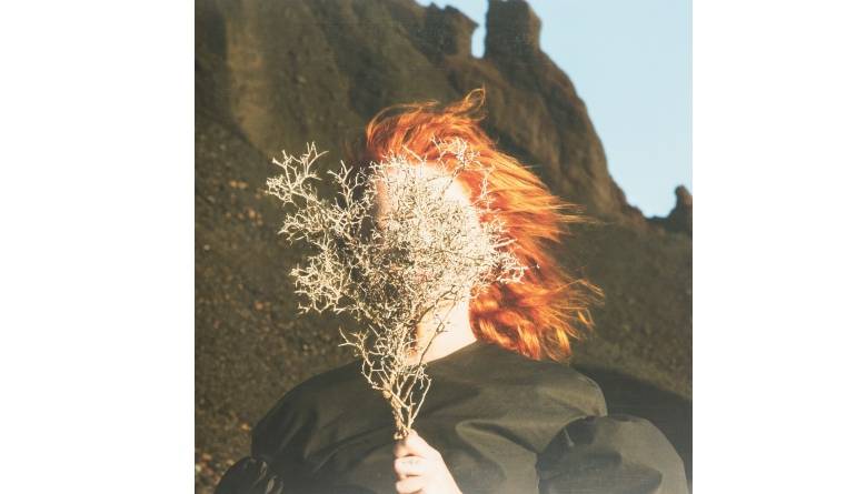 Schallplatte Goldfrapp - Silver Eye (Mute) im Test, Bild 1