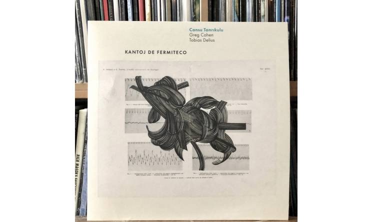 Cansu Tanrikulu – Kantoj de Fermetico: Kantoj de Fermetico (LowSwing Records), Bild 1 Schallplatte Kantoj de Fermetico (LowSwing Records) im Test, Bild 1