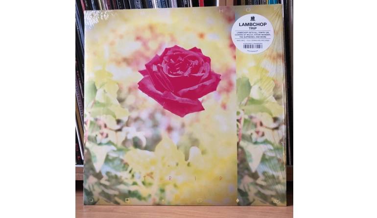 Singer/Songwriter: Lambchop â Trip (City Slang), Bild 1 Schallplatte Lambchop â Trip (City Slang) im Test, Bild 1