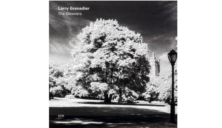 Larry Grenadier The Gleaners: Larry Grenadier The Gleaners (ECM), Bild 1 Schallplatte Larry Grenadier The Gleaners (ECM) im Test, Bild 1