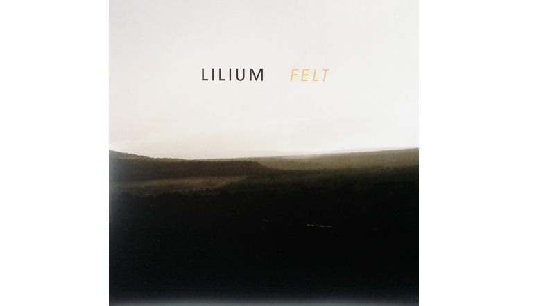 Lilium – Felt: Lilium – Felt (Glitterhouse Records), Bild 1 Schallplatte Lilium – Felt (Glitterhouse Records) im Test, Bild 1