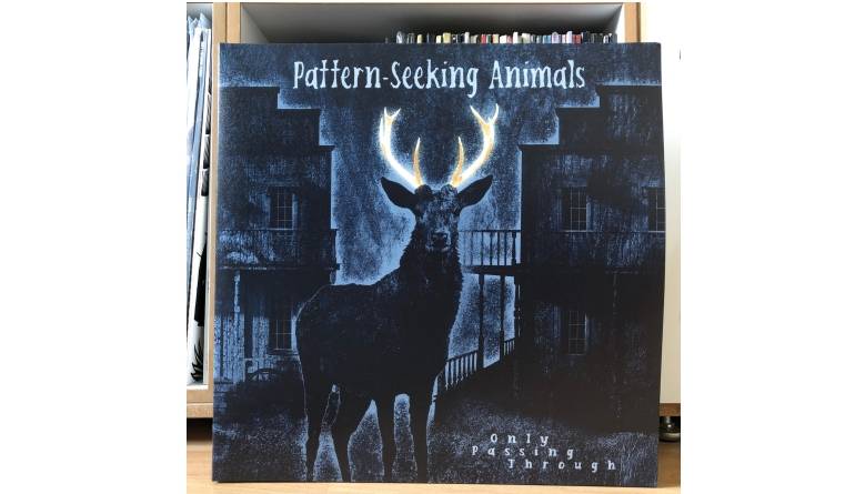 Pattern-Seeking Animals – Only Passing Through: Pattern-Seeking Animals – Only Passing Through (Inside Out Music), Bild 1 Schallplatte Pattern-Seeking Animals – Only Passing Through (Inside Out Music) im Test, Bild 1