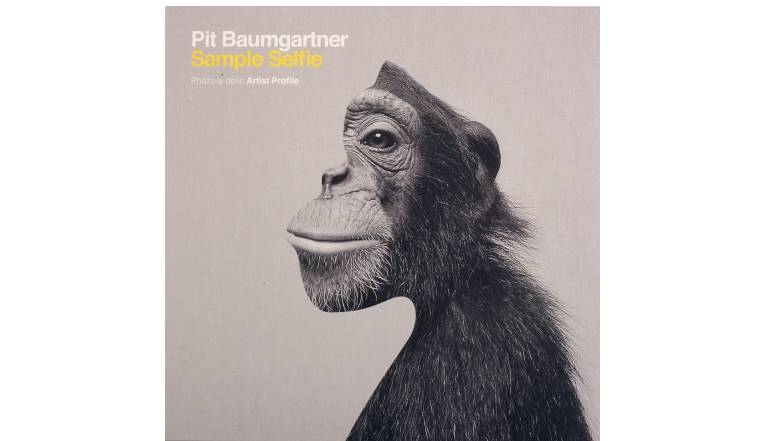 Pit Baumgartner – Sample Selfi e: Pit Baumgartner – Sample Selfi e (Phazz-a-delic), Bild 1 Schallplatte Pit Baumgartner – Sample Selfi e (Phazz-a-delic) im Test, Bild 1