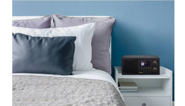 Allrounder: Sangean WFR-30, Bild 1 DAB+ Radio Sangean WFR-30 im Test, Bild 1