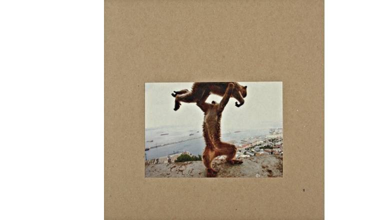 Shellac - Dude Incredible: Shellac - Dude Incredible (Touch and Go Records), Bild 1 Schallplatte Shellac - Dude Incredible (Touch and Go Records) im Test, Bild 1