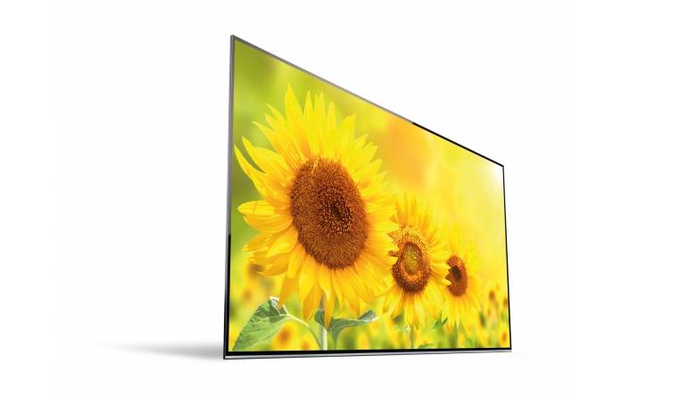 Statement of Art: Sony KD-65A1, Bild 1 Fernseher Sony KD-65A1 im Test, Bild 1