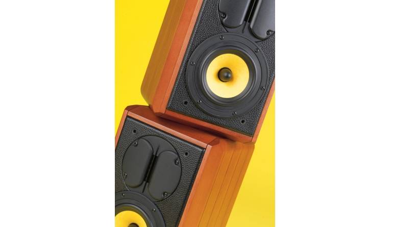 Der Preis ist heiß: Swans M1, Bild 1 Lautsprecher Stereo Swans M1 im Test, Bild 1