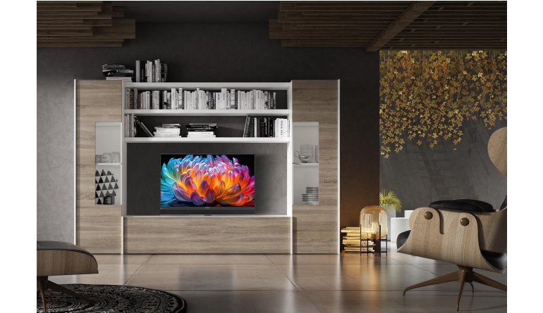 Fernseher Full HD TechniSat Technivista 43 CL im Test, Bild 1