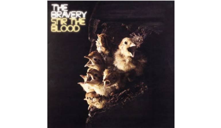 The Bravery – Stir The Blood: The Bravery – Stir The Blood (Island), Bild 1 Schallplatte The Bravery – Stir The Blood (Island) im Test, Bild 1