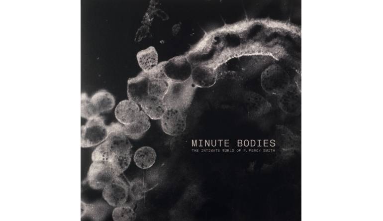Schallplatte Tindersticks – Minute Bodies: The Intimate World of F. Percy Smith (City Slang) im Test, Bild 1