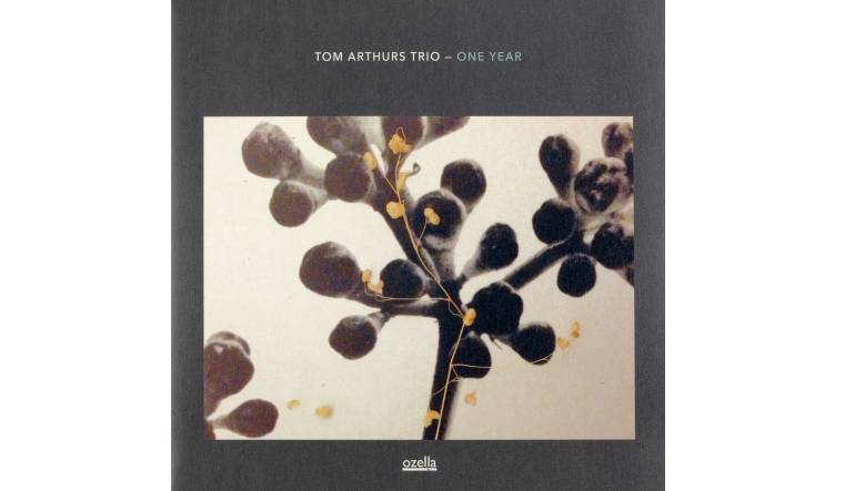 Tom Arthurs Trio - One Year: Tom Arthurs Trio - One Year (Ozella Music), Bild 1 Schallplatte Tom Arthurs Trio - One Year (Ozella Music) im Test, Bild 1