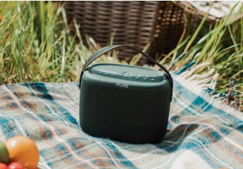 DAB+ Radio Pure Evoke Woodland im Test, Bild 1